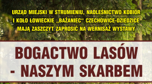 Obrazek domyslny serwisu strumien.pl